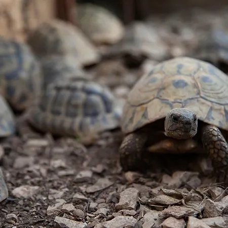 Appartement Svemir *